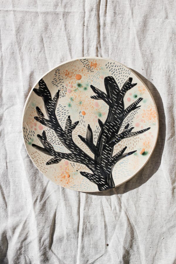 fotografía de producto plato árbol textura colorido