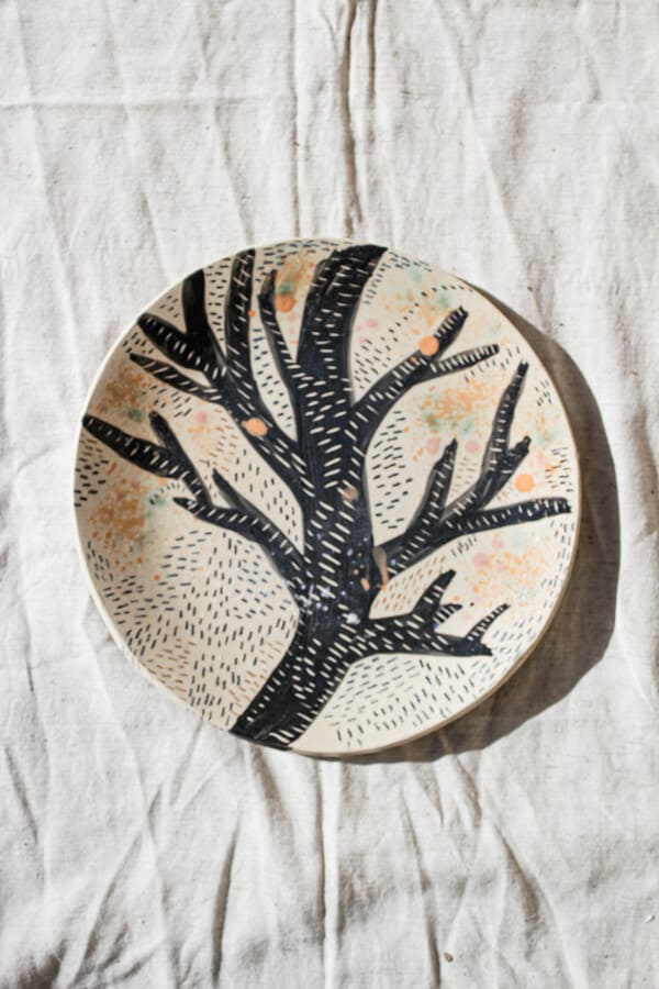 fotografía de producto de plato árbol textura colorido