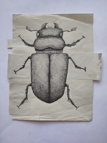 IMG_20250414_133142~2